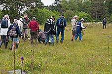 K�llmyr p� Bungen�s