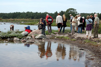 Stranden vid Stapeludd